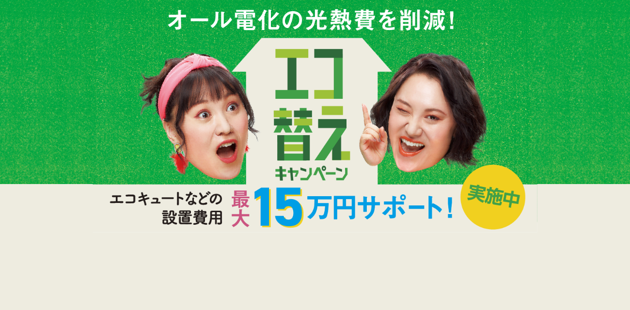 エコ替えキャンペーン
